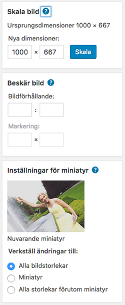 Redigera bilder - Skala och beskär bild